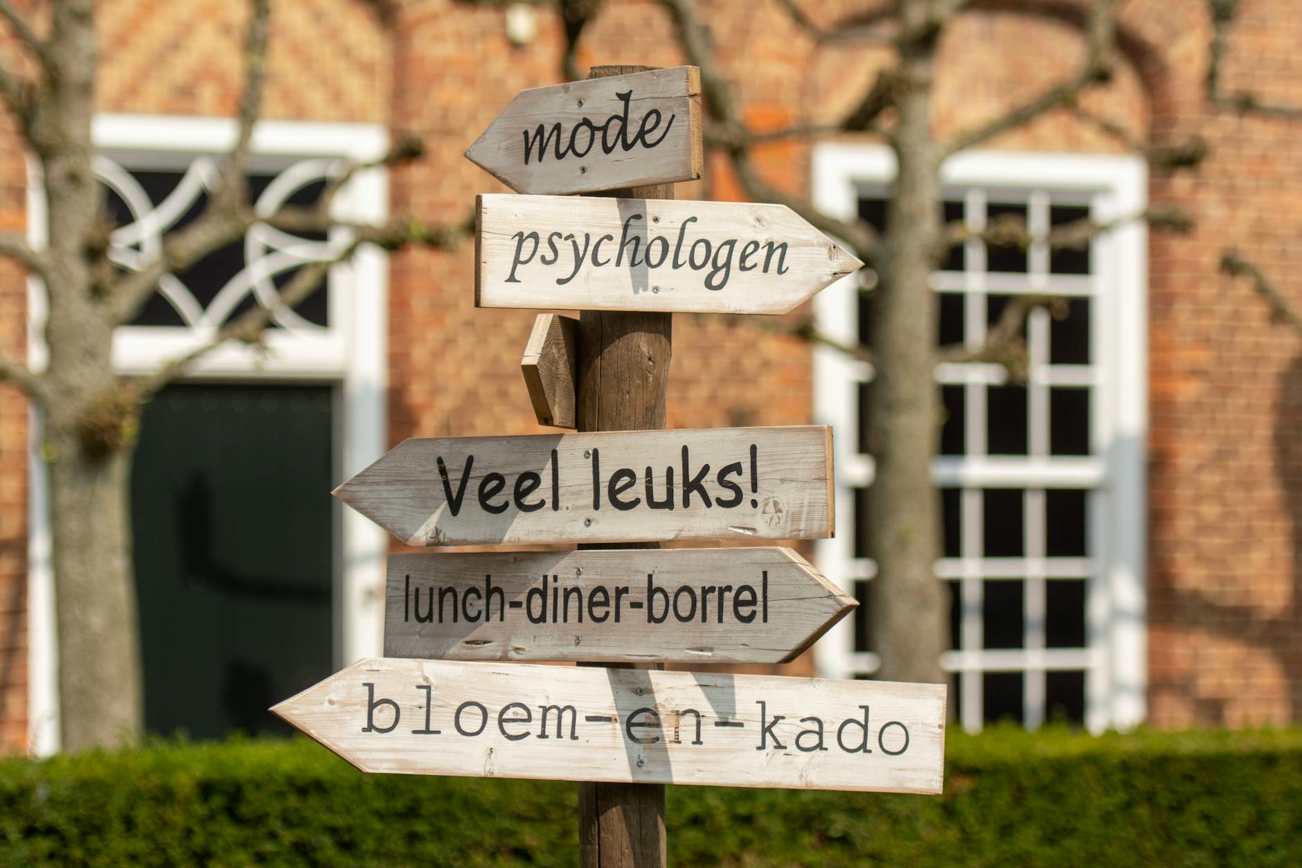 Caught Between Two Cultures: Should I Speak Spanish or English?