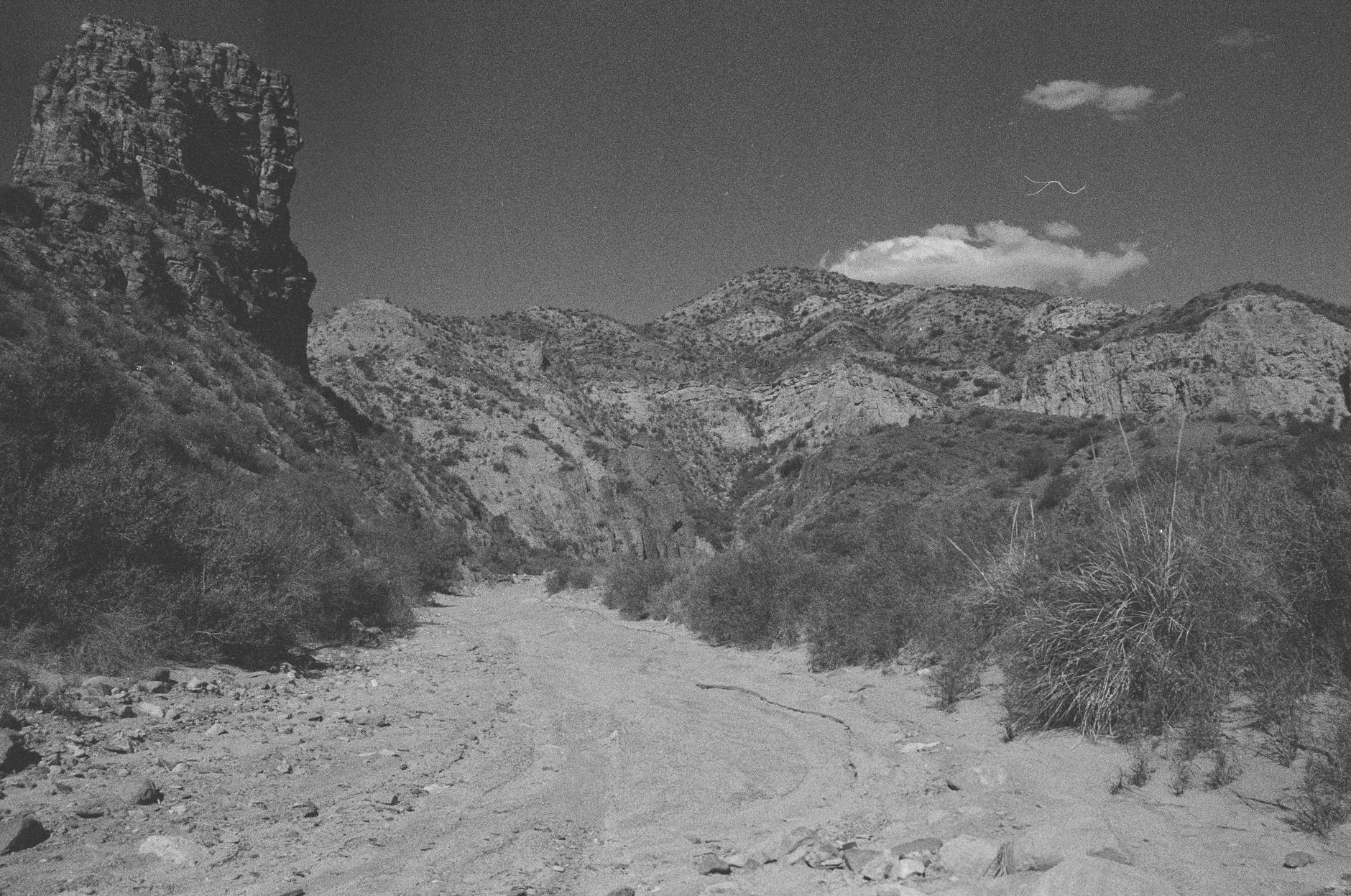 Chuck Norris: From Cannon Films Icon to Texas Ranger