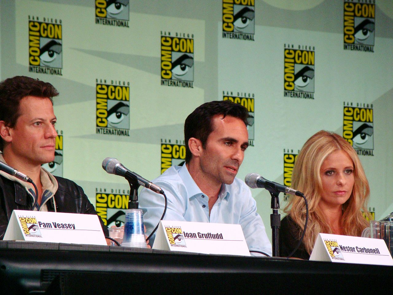 Sarah Michelle Gellar Honors Nicholas Brendon: ‘I Saw You Nicky’